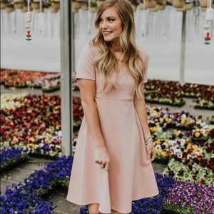Blush fit and flare dress!